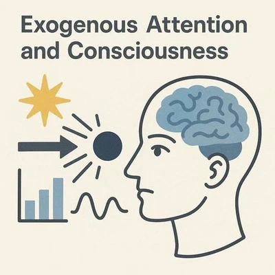 The influence of exogenous attention on consciousness featured image